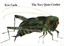 The Very Quiet Cricket by Eric Carle.