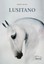 Lusitano Beatrice Bulteau