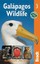 Galapagos Wildlife - NEW - 9781841623603 by Horwell, David/ Oxford, Pete
