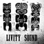 LIVITY SOUND / VARIOUS-LIVITY SOUND / VARIOUS CD NEW