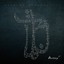 Amyf Bushido CD