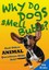 Why Do Dogs Smell Butts? and Other Animal Questions Kids Ask! by Brooks, Jem