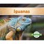 Iguanas / Iguanas Hansen, Grace