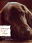 Conversations with Dog: An Uncommon Dogalog of Canine Wisdom by Kate...