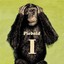 Vol. 1 Piebald CD
