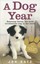 A Dog Year: Rescuing Devon, the most troublesome dog in the world by Jon Katz.