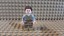 Lego® Star Wars Figur Rey aus 75178 NEU