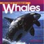 Welcome to the World of Whales - Paperback NEW Diane Swanson 1996-10