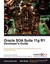 Oracle Soa Suite 11g R1 Developer's Guide by Antony Reynolds.