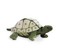 Tortoise Puppet. Folkmanis Puppets. Free Shipping
