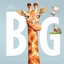 Little Big - Paperback NEW Jonathan Bentle 2015-09