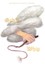 NEW God's Whip by Reverend Dennis R. Grubbs