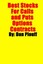 NEW Best Stocks For Calls and Puts Options Contracts by Dan Plouff