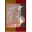Terrorism: Turkey Point Clyde E. Roach