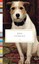 Dog Stories by Diana Secker Tesdell.