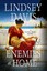 Enemies at Home (Flavia Albia Mystery) - Paperback NEW Lindsey Davis(A 2015-06-1