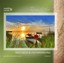 Ronny Matthes - Wellness & Entspannung, 1 Audio-CD. Vol.4