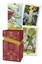New Vision Premium Tarot by Pietro Alligo.