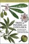 Trees of Panama and Costa Rica (Princeton Field Guides) by Richard Condit.