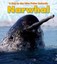 Narwhal by Katie Marsico (Paperback, 2012)