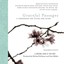 Graceful Passages: A Companion for Living And Dying Sti