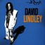 David Lindley - El Rayo-X CD Elektra NEW