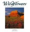 Wildflowers of the Plateau & Canyon Country by Larry Ulrich (English) Paperback