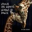 NEW Jamie The Giraffe Learns To Dance by Kate Silves BOOK (Paperback / softback)