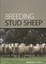 Breeding Stud Sheep by CSIRO Publishing (Paperback, 2008)