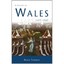 A History of Wales 1485-1660 Thomas Hugh