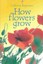 NEW How Flowers Grow By Emma Helbrough Paperback Free Shipping