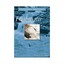 Freshwater by James Fargo Balliett (Microfilm, 2010)
