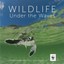 Wildlife Under The Waves ' FREUND, Chiu-freund