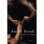 A Chain of Voices Brink, Andre Philippus