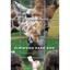 Elmwood Park Zoo (Images of Modern America) - Paperback NEW Stan Huskey (Au SC