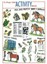 Pony Club Activity Book by Pony Club (Paperback, 2006)
