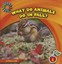 What Do Animals Do in Fall? - Library Binding NEW Felix, Rebecca 2013-01-01