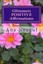 Glimmers Positive Affirmations: About Money, Love, Luck, Health, by Nyagul, Ana