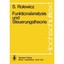 Funktionalanalysis Und Steuerungstheorie (Hochschultext) S. Rolewicz