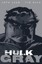 Hulk: Gray TPB (Hulk (Paperback Marvel)) NEW BOOK