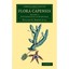 Flora Capensis: Being a Systematic Description of the Plants of the Cape Colony,