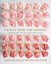 I'm Just Here for Dessert by Caroline Khoo 9781743368879 (Paperback, 2017)