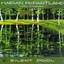 MCPARTLAND MARIAN-SILENT POOL (US IMPORT) CD NEW