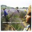 False Beats & True Hearts Damon & Naomi CD