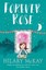 Casson Family: Forever Rose: Book 5 (Casson Family) by Hilary McKay.