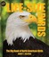 NEW Life Size Birds by Nancy J. Hajeski