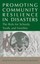 NEW Promoting Community Resilience In Disasters by Kevin Ronan BOOK (Paperback)