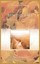 NEW Run The Race by Susan Z Dawes BOOK (Paperback / softback) Free P&H