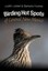 Birding Hot Spots of Central New Mexico by Judy Liddell, Barbara Hussey...
