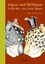 Jaguar und Neinguar, Paul Maar, Buch, Deutsch, 2007